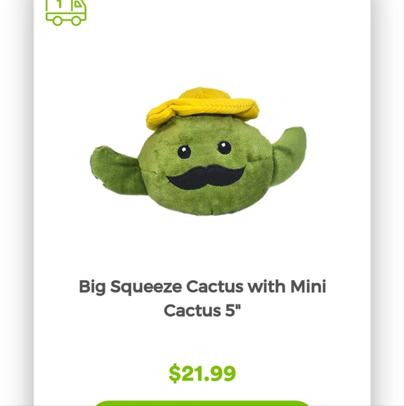 Dog Toy: Big Squeeze Cactus with Mini Cactus toy inside - Picture 7 of 7
